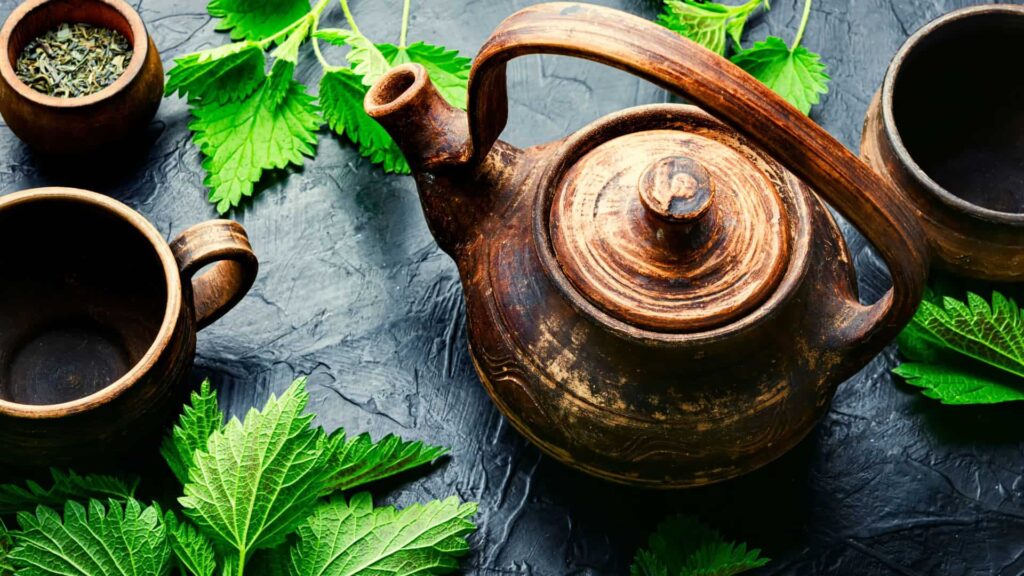Nettle Tincture 