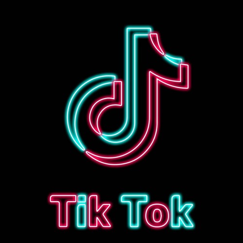TikTok Video Saver
