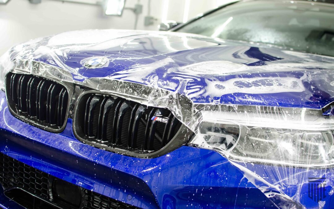 Paint Protection